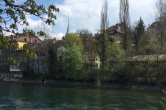 IMG_7644