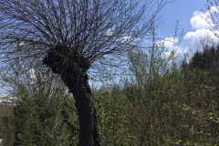 IMG_E7623