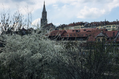 IMG_E7647