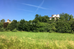IMG_7993
