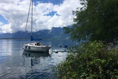 IMG_5907