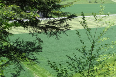DSC04179
