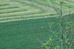 DSC04181