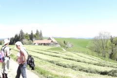 DSC04195