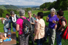 Bild-6