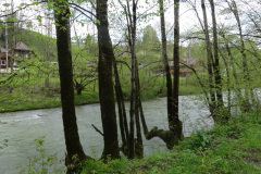 DSC06786
