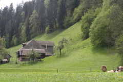 DSC06790