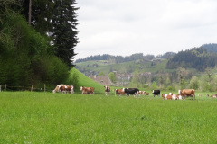 DSC06791