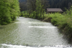 DSC06801
