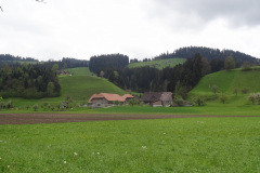 DSC06809