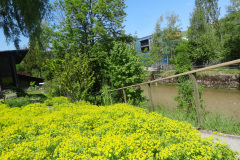DSC07465