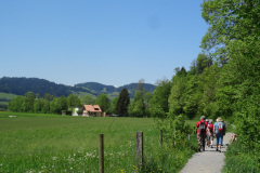 DSC07471