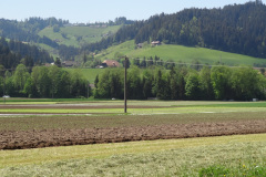 DSC07483