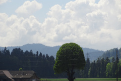 DSC07485