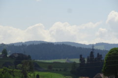 DSC07486