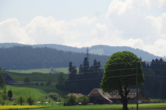 DSC07487