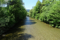 DSC07488