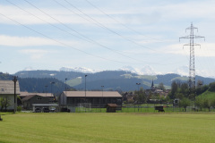 DSC08015
