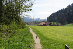 DSC08017