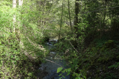 DSC08019