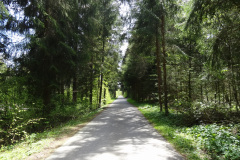 DSC08020