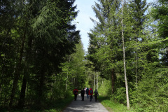 DSC08021