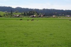 DSC08022