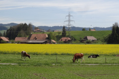 DSC08026