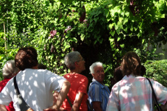 DSC00711