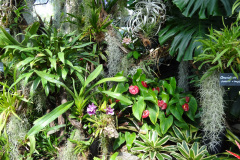 DSC00717