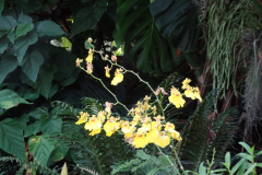 DSC00720