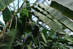 DSC00740