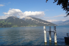 DSC00753