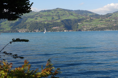 DSC00759