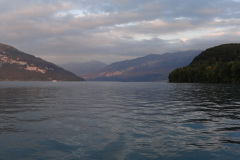 DSC00778