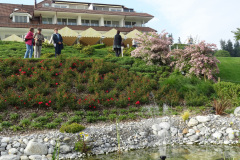 DSC01790