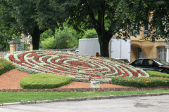 HPIM4733