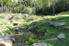 DSC08333