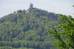 DSC08336