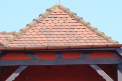 DSC08354