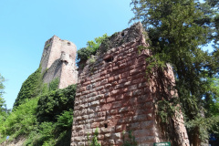 DSC08360