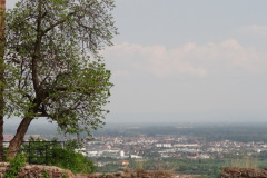 DSC08414