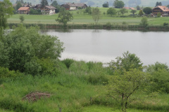 DSC00724