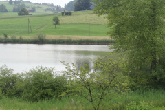DSC00725