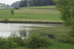 DSC00726