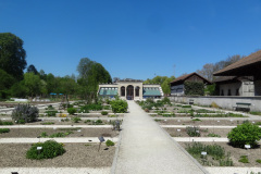 DSC07393