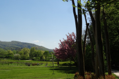 DSC07394